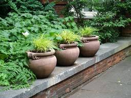 Garden pots: display your plants creatively
