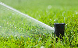 Garden irrigation systems: drip or spray irrigation systems?