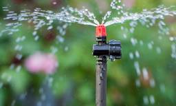 Eco-friendly irrigation techniques for your garden