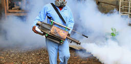 Tips for fumigating your home safely