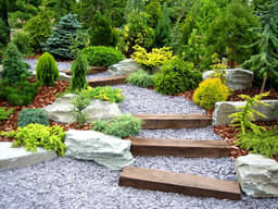 Landscape design for beginners