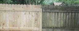 Wooden Fence Cleaning