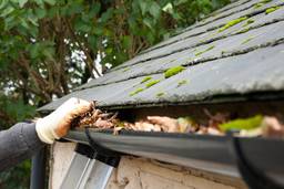 Gutter Cleaning Tips