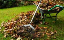 Garden Clean up tips