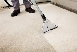 The Essential Role of Professional Services in Carpet and Fabric Protection