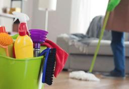The Role of a Domestic Worker vs a Cleaning Contractor .