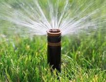 Exploring Garden Irrigation Systems: A Comprehensive Guide