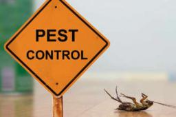 Integrated Pest Management: A Comprehensive Approach to Effective Pest Control