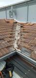 Waterproofing Services Cape Town Central Roof Restoration 2 _small