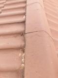 Tile Roof Ridge Repairs Germiston CBD Roof water proofing 4 _small