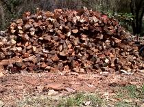 SPECIAL OFFER DRY BRAAI WOOD DELIVERED QUICK Sunninghill Tree Cutting , Felling & Removal 4 _small