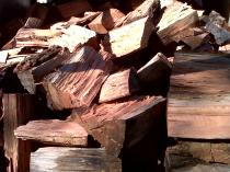 SPECIAL OFFER DRY BRAAI WOOD DELIVERED QUICK Sunninghill Tree Cutting , Felling & Removal 2 _small