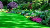 pam garden services Randburg CBD Garden & Landscaping Contractors & Services 3 _small