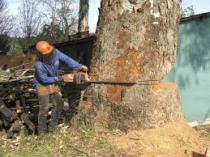 pam garden services Randburg CBD Garden & Landscaping Contractors & Services 3 _small