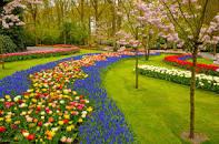 pam garden services Randburg CBD Garden & Landscaping Contractors & Services 2 _small