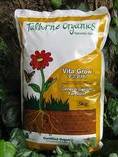 Essential seasonal garden treatments Randburg CBD Garden Irrigation Systems 2 _small