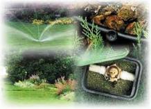 Seasonal irrigation service Sandton CBD Garden &amp; Landscaping Contractors &amp; Services 3 _small