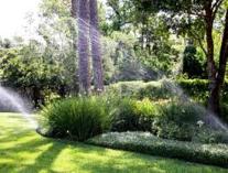 Seasonal irrigation service Sandton CBD Garden &amp; Landscaping Contractors &amp; Services 2 _small