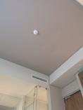 Spring Ceiling Installation - Bulkheads and Rhinolite Elarduspark Dry Walling 11 _small