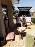 Building Randburg CBD Painters 3 _small