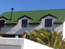 Roof Painter Cape Town Central Handyman Services 4 _small