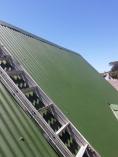 Roof Painter Cape Town Central Handyman Services 2 _small