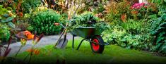 Discounted full payments in advance Constantia Garden &amp; Landscaping Contractors &amp; Services 2 _small