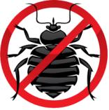 Worried about pests in your home call us Wynberg Infestation &amp; Fumigation _small