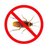 Worried about pests in your home call us Wynberg Infestation &amp; Fumigation 4 _small