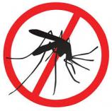 Worried about pests in your home call us Wynberg Infestation &amp; Fumigation 2 _small