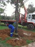 Black Friday Discount Northcliff Land Clearing 2 _small