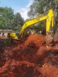 Tree Cutting &amp; Removal Services South Africa (The Expert Feller) Brooklyn Excavation &amp; Demolition _small