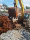 Tree Cutting &amp; Removal Services South Africa (The Expert Feller) Brooklyn Excavation &amp; Demolition 2 _small
