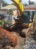 Tree Cutting &amp; Removal Services South Africa (The Expert Feller) Brooklyn Excavation &amp; Demolition 3 _small
