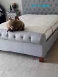 Mattress cleaning -save 10% Randburg CBD Cleaning Contractors &amp; Services 5 _small