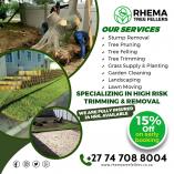 Rhematreefellers Cape Town Central Tree Stump Removal &amp; Grinding _small