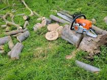 We do TREE felling services, Stump Removal TREE trimming garden cleaning Cape Town Central Tree Stump Removal &amp; Grinding 2 _small