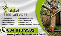 Tree felling services, landscaping, Grass cutting, Garden Services Cape Town Central Tree Cutting , Felling &amp; Removal _small