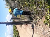 Tree felling services, landscaping, Grass cutting, Garden Services Cape Town Central Tree Cutting , Felling & Removal 3 _small