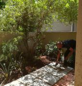 Paving and landscaping