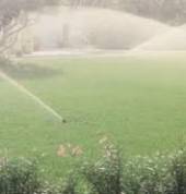 irrigation