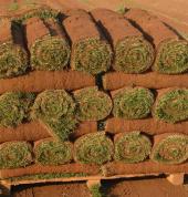 Ilse Lawns Lonehill Turf Laying & Supply 1_small