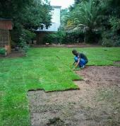 Ilse Lawns Lonehill Turf Laying & Supply 2_small
