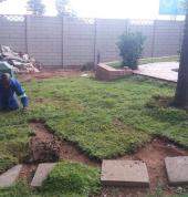 Ilse Lawns Lonehill Turf Laying & Supply 3_small