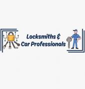 Locksmiths and car professionals