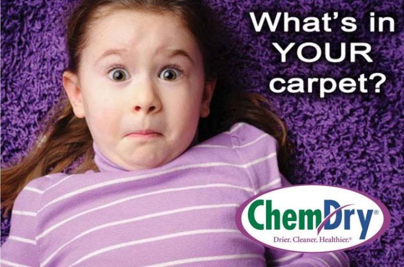 ChemDry Professional Carpet Cleaners Fourways Carpet Cleaning