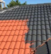 High pressure cleaning, painting and fungal treatment