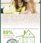 ChemDry Professional Carpet Cleaners Overberg Gansbaai Carpet Cleaning & Dyeing 3_small