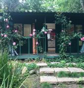 crawling flower designs