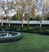 tree shapes and lawns